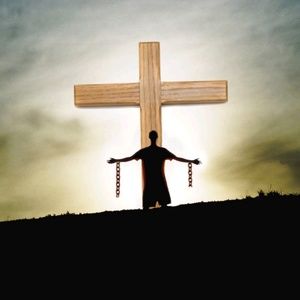 Meet your Posher, Lacy